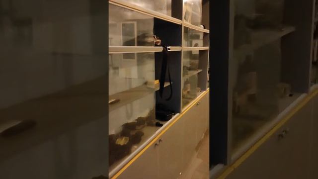 Нежилое помещение по ул.Десантников, Феодосия. Центр города смотреть онлайн