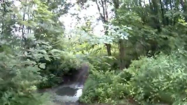 660 Grizzly stuck no 4 wheel drive . смотреть онлайн