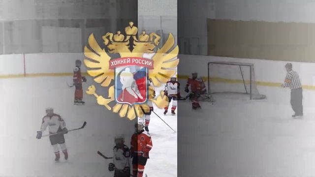 ХК Звезда 2011 (Новосибирск) - ХК Кристалл 2012 (Бердск) смотреть онлайн