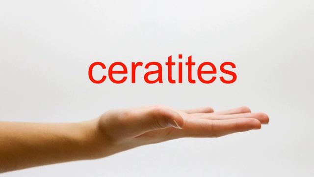 How to Pronounce ceratites - American English смотреть онлайн
