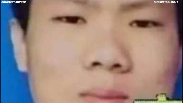 CAT In BLENDER Full Video CONTROVERSY