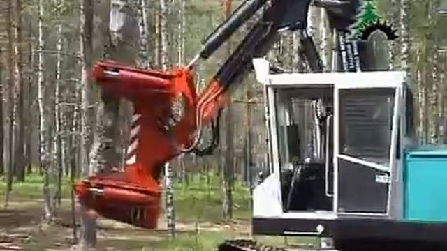 ЛЕСТЕХКОМ