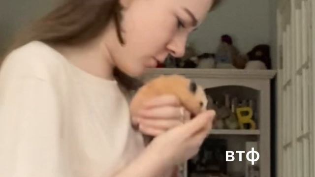 shein haul💋/распаковка посылки с шейна/unboxing посылок/семёнова ульяна/cringeуля смотреть онлайн