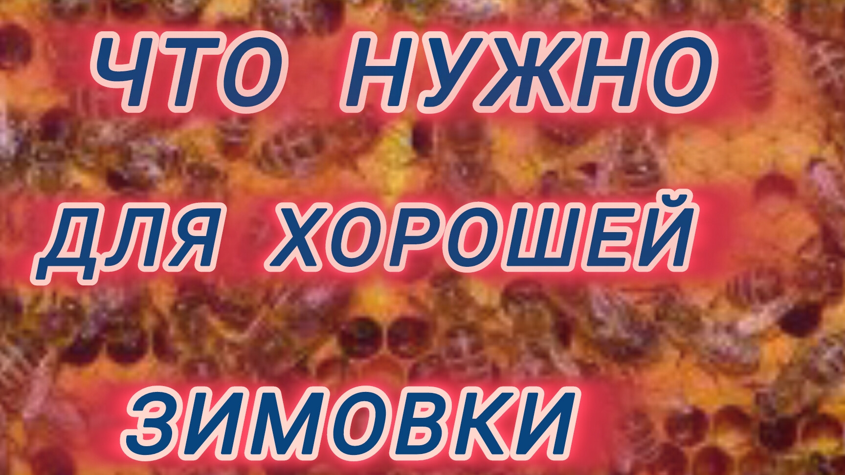 Что нужно для хорошей зимовки смотреть онлайн