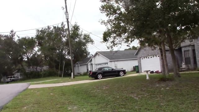 954.США. КРАСИВАЯ ОСЕНЬ И МИЛЫЕ ПОДАРКИ!! Lyubov Reed