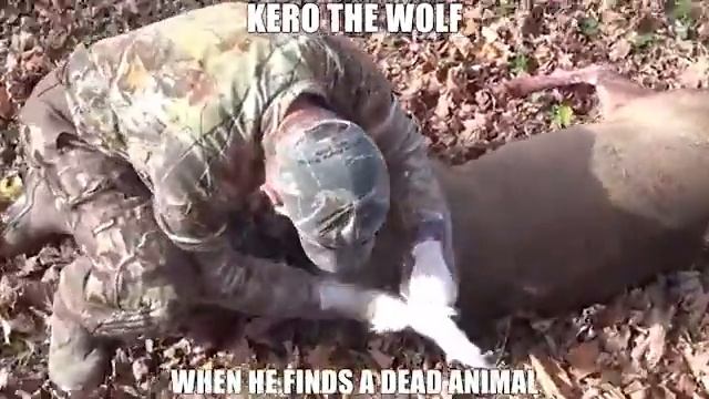 Furry Youtubers Be Like