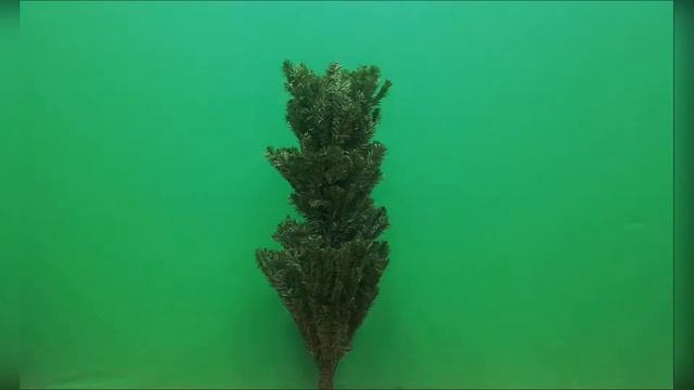 Дед Мороз приходит в школу смотреть онлайн