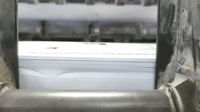 Видеоотчет офсетной печати и резки книги «Все о муке»