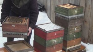 Семьи в огороде.  Замена дна и нижнего корпуса. Сюжет 2й