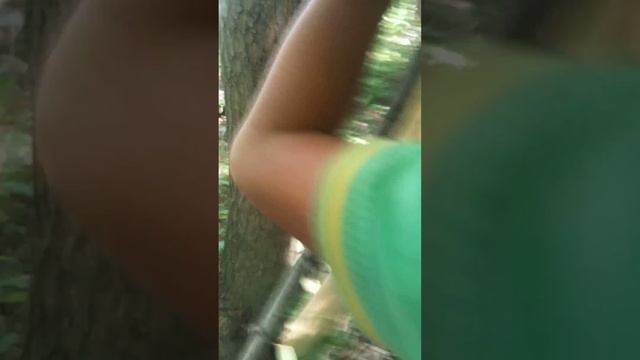 мы сделали в лесу парк развлечений смотреть онлайн