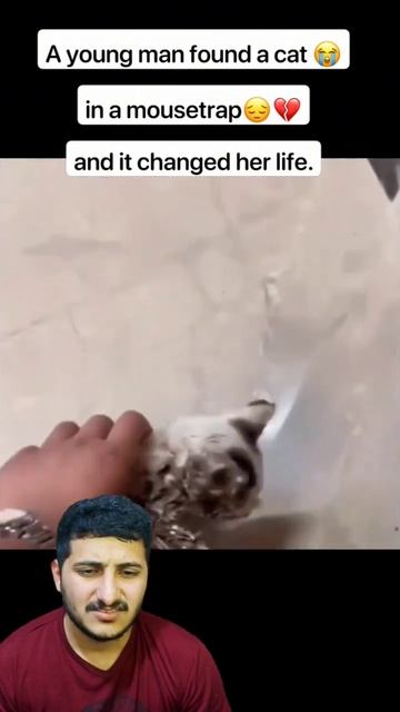 A young man found a cat 😔💔in a mousetrap😭💔and it changed her life😍💖#shortvideo смотреть онлайн