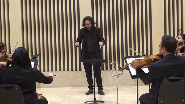 Dvorak Serenade for Strings op22 (Larghetto) смотреть онлайн