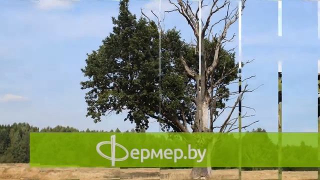 Фермер бай заставка смотреть онлайн