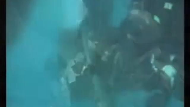 боевые искусства Special Force Groupe Belgium смотреть онлайн