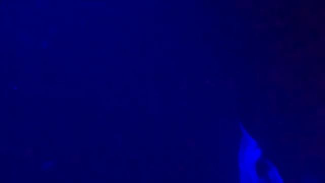 ONE WEEK IN BIG ISLAND & HONOLULU HAWAII | best things to do and see TRAVEL GUIDE 2021