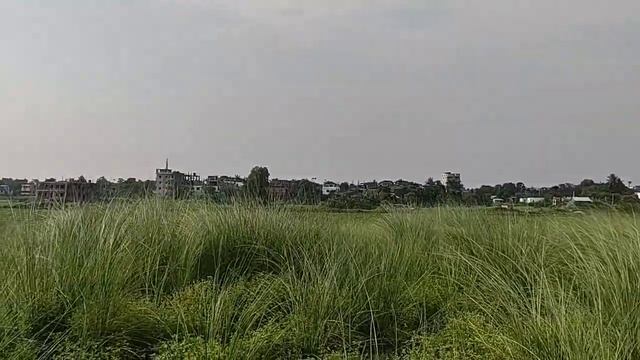 PEPERONI RESTAURANT ONSIDE-OUT VISIT | MUST WATCH смотреть онлайн