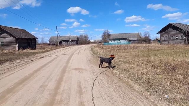 Дом в деревне.Дела деревенские,майские выходные.