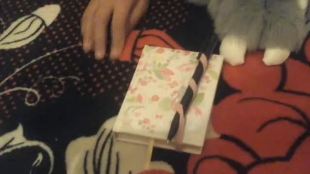 Что в моем рюкзаке. Первое видео (: смотреть онлайн