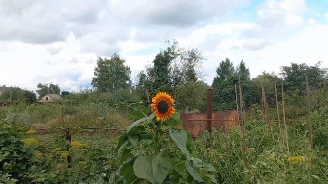 Vlog:мой день в деревне🌻🤍#каникулы смотреть онлайн
