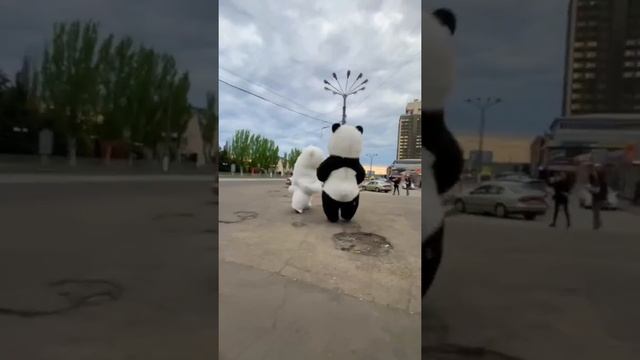 Мишки в центре Луганска смотреть онлайн