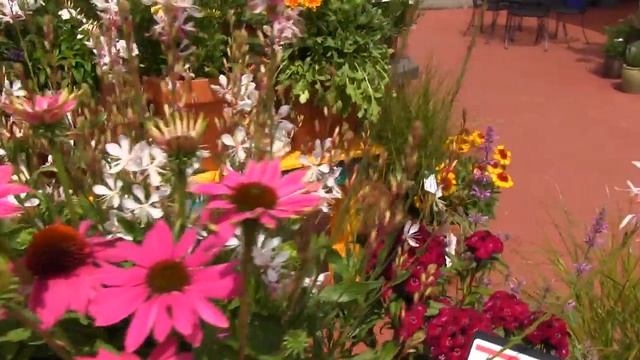 2013 Spring Trials: Kieft Seed смотреть онлайн
