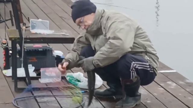 13-03-2025 смотреть онлайн