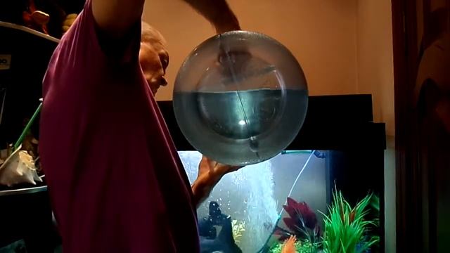 ОСМОС 22 ВЕКА