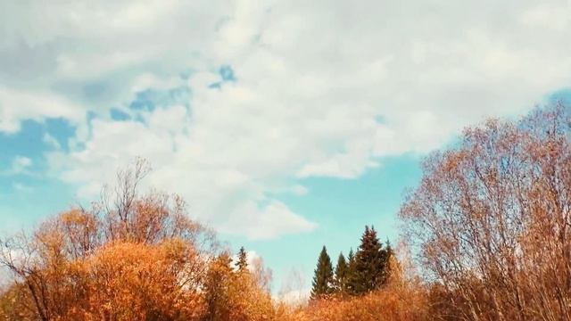 Лилия Сабирова — «Отпусти меня» (Official Video, 2023)