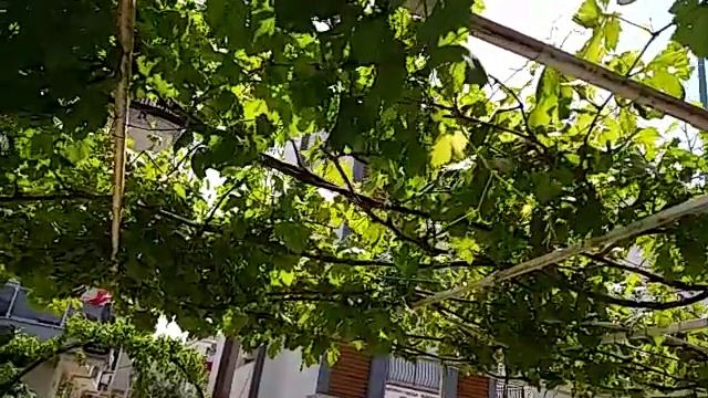 Почему граждане России и СНГ уезжают за границу? смотреть онлайн