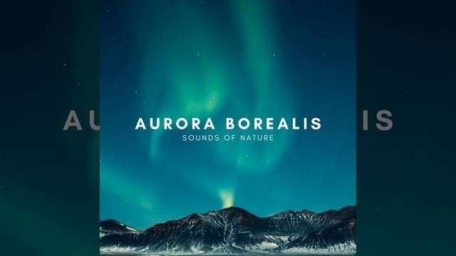 Northern Lights смотреть онлайн