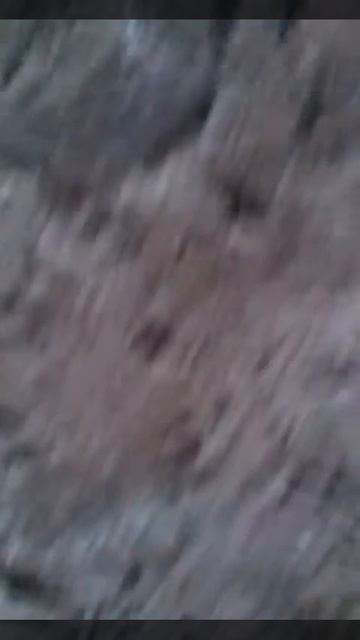 VIDEO0041 смотреть онлайн