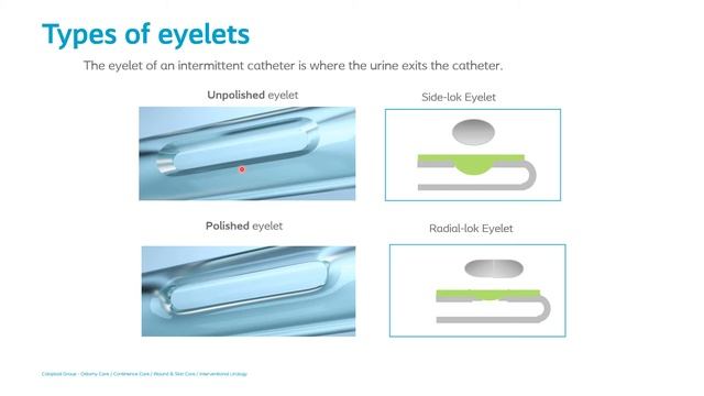 recorded SB Bowel Bladder Refresher 2020 смотреть онлайн