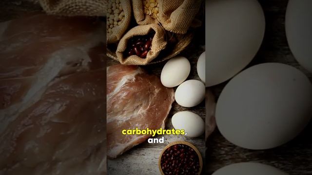 Healthy Living With Macronutrients смотреть онлайн