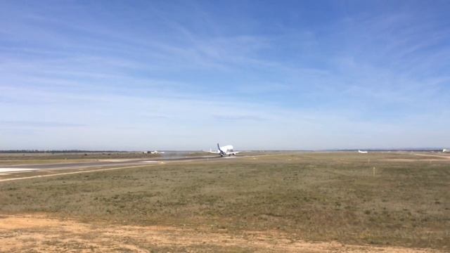 Милый Самолётик//Летающий Автобус//Мечта//Airbus Beluga смотреть онлайн