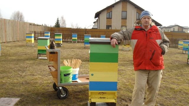 Весенняя ревизия пчел. Нужна или нет?