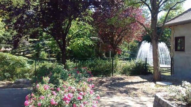 Аттракцион "Гусеница" смотреть онлайн