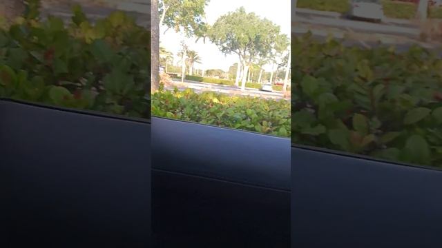 Dunkin Donuts Drive Thru-May 13 2024