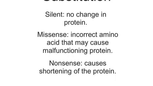HW 28 Protein Synthesis смотреть онлайн