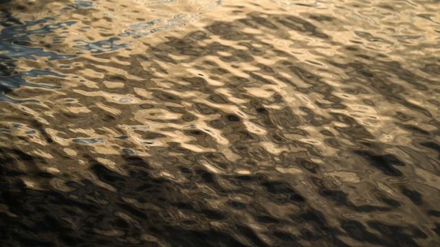 Короткий ролик Талвиоя