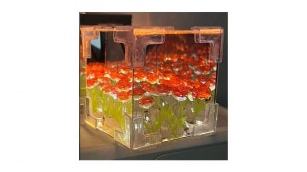 инструкция сборки ночника с розами (магазин ZaBay)