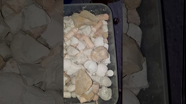 моё лакомство😋