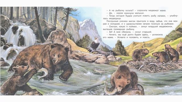 Приключения медвежонка смотреть онлайн