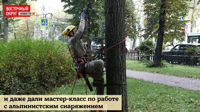 Новые способы ухода за деревьями освоили коммунальщики ВАО смотреть онлайн