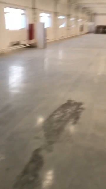 Отвлекаемся от работы🏎️ #работа #стройка #бетон #бетонныеполы #любимаяработа #кемерово #2024 смотреть онлайн