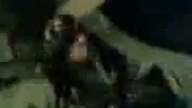 video pregio: gente che slata fuori da una siepa (malcom) смотреть онлайн