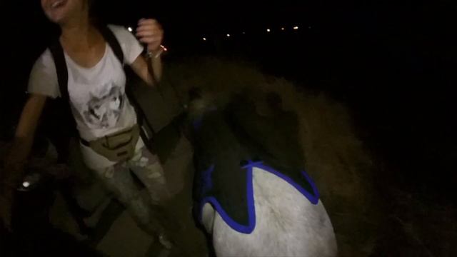 Общаюсь с крутым диджеем | Купил Педжеро | Аквапарк Остров сокровищ смотреть онлайн