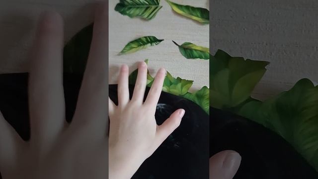 1000000626.mp4 смотреть онлайн