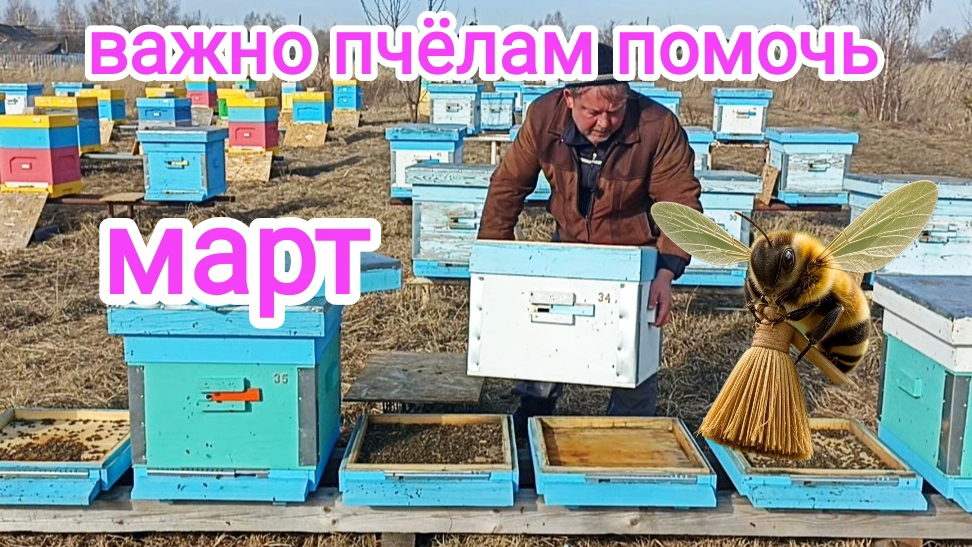 Март. Первые работы с пчёлами на пасеке. Пчеловодство! смотреть онлайн