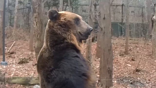 Южная Корея. Сеул. День 5. Carribean Bay. Everland. Gangnam смотреть онлайн