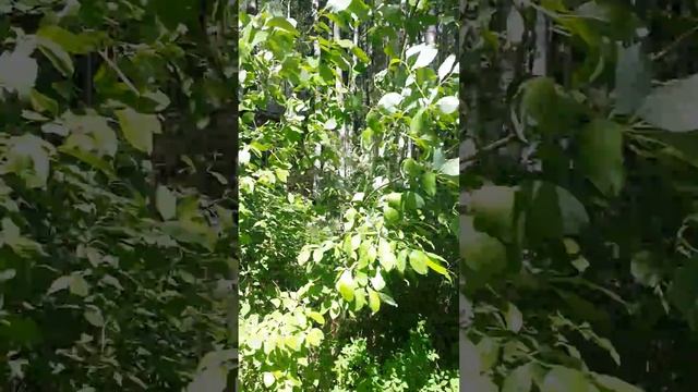 20160603 130738 смотреть онлайн